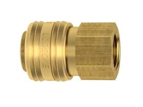 STANDARD ESA IG