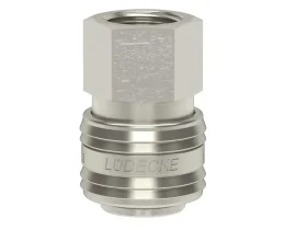 STANDARD IG ESN catalog-item_2409171_img_16116736916870