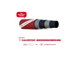 CALORTEC 208 RED catalog-item_2398799_img_15240855422188