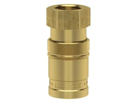 ESDF IG catalog-item_2408925_img_16133760856540