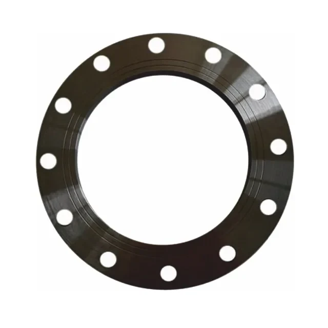 BLACK STEEL FLANGE DN 40-400