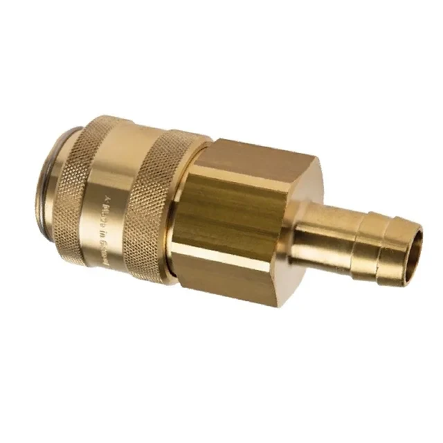 RECTUS (39) VSUVKA NW19