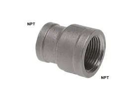 MUFNA IG SS/1.4408 NPT catalog-item_2652840_img_16022097065683