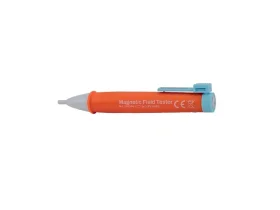 DETEKTOR MAGNETICKÉHO POLE