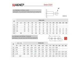 CG02 DVOUPÍSTOVÝ MAGNETICKÝ VÁLEC catalog-item_2631809_img_16660995127452