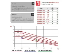 6068 - Kulový kohout MS/NI 2x Rp ISO 7 catalog-item_2407458_img_16797141343809
