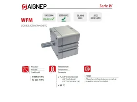 WFM 32-100 MALE DVOJČINNÝ MAGNET. VÁLEC ISO 21287 catalog-item_2683195_img_16474005353530