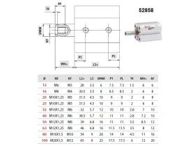 BD32-100 JEDNOČINNÝ KRÁTKOZDVIŽNÝ VÁLEC catalog-item_2684666_img_16632081535533