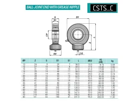 TS-C WELD catalog-item_2705071_img_17601489819727