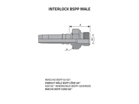AGR MALE SV60° catalog-item_2398587_img_16075219410082
