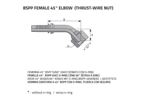 DKR45° KUŽ60- FEMALE BSPP GAS catalog-item_2398912_img_16064013086146