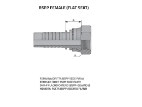 DKR-F FLAT FEMALE BSPP catalog-item_2398919_img_16064013093008