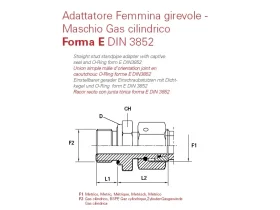 PŘÍPOJKA AG-IG OTOČNÁ E-DIN 3852 catalog-item_2407596_img_16730125155499