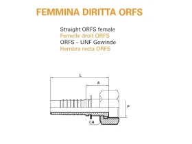 UNF- FEMALE ORFS catalog-item_2409432_img_16341357170266