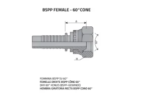 DKR KUŽ60- FEMALE BSPP GAS catalog-item_2398910_img_16730135808658
