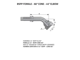 DKR45° KUŽ60- FEMALE BSPP GAS catalog-item_2398913_img_16064013089574