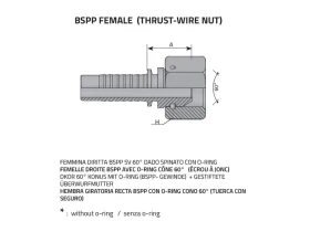 DKOR KUŽ60°- FEMALE BSPP GAS/ČEP catalog-item_2398896_img_16064013091452