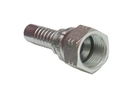 DKJ - JIC 74° FEMALE