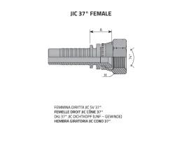 DKJ - JIC 74° FEMALE catalog-item_2398874_img_16064032283612