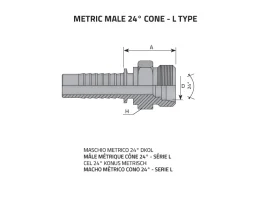 CEL - MALE 24° catalog-item_2398809_img_16064698295477