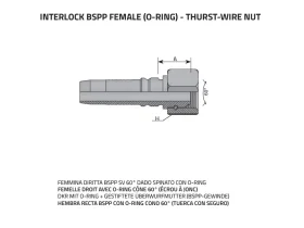 DKOR SV60- FEMALE BSPP Interlock catalog-item_2398897_img_16075219405851