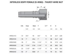 DKOR SV60- FEMALE BSPP Interlock catalog-item_2398897_img_16075219405934