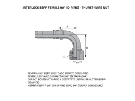 DKOR90 KUŽ60- FEMALE BSPP catalog-item_2398898_img_16075219406855