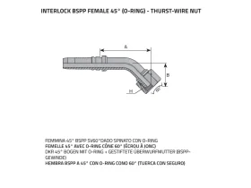 DKOR 45°- SV60- FEMALE BSPP Interlock catalog-item_2398895_img_16075227701903
