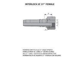 DKJ - JIC 74° FEM. UNF Interlock catalog-item_2398873_img_16075701437372
