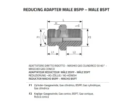 ADAPTÉR REDUKCE BSPT-BSPP catalog-item_2398497_img_16039691483400