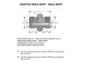 NIPL 2XAG-BSPP SV 60° catalog-item_2408523_img_16037191306080