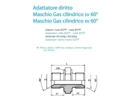 NIPL 2XAG-BSPP SV 60° catalog-item_2408523_img_16730125076441