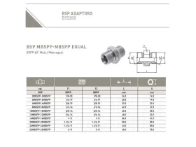 NIPL 2XAG-BSPP SV 60° catalog-item_2408523_img_16801425156213