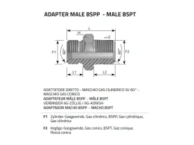 NIPL 2XAG-BSPP SV 60° catalog-item_2408522_img_16039691480612