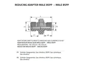 ADAPTÉR 2XAG-REDU-BSPP SV 60 catalog-item_2398489_img_16037247675514