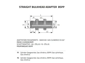 ADAPTÉR PŘEPÁŽKOVÝ BSP SV60° catalog-item_2398496_img_16037247678219