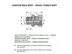 NIPL AG/IG-REDU-BSPP SV 60° catalog-item_2408525_img_16063068103364
