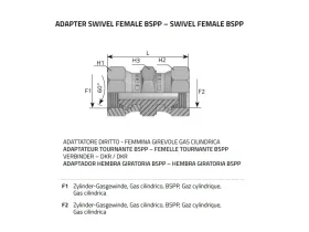 NIPL 2XIG-BSPP SV 60° catalog-item_2408524_img_16039651867934