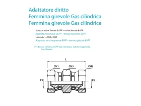 NIPL 2XIG-BSPP SV 60° catalog-item_2408524_img_16730125422094