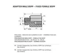 HPPG-GAS SV60° BSPP catalog-item_2407979_img_16105479428836