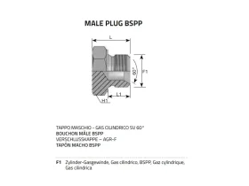 ZÁTKA AGR GAS-SV 60° catalog-item_2409598_img_16040434932772