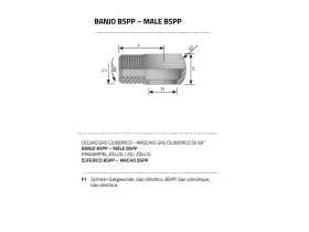 BANJO BSPP MALE SV60° catalog-item_2398691_img_16270190548547
