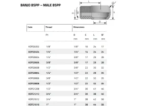 BANJO BSPP MALE SV60° catalog-item_2398691_img_16270190548670