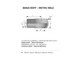 BANJO METRIC MALE SV60° catalog-item_2398694_img_16040459465357