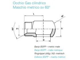 BANJO METRIC MALE SV60° catalog-item_2398694_img_16730125385382