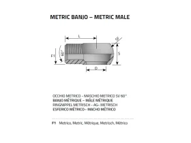 BANJO METRIC MALE SV60° catalog-item_2398693_img_16040459470976