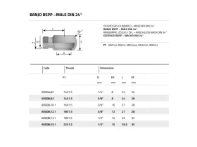 BANJO PRO PALCOVÝ ŠROUB BSP catalog-item_2398702_img_16269690803254