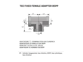 ADAPTER 3XIG BSPP GAS catalog-item_2408023_img_16039691478903