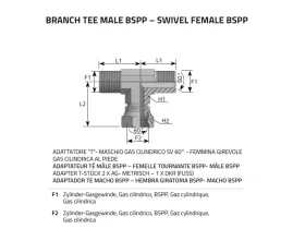 ADAPTÉR CENTR-IG 2XAG BSPP GAS-SV 60° catalog-item_2398492_img_16730135961990
