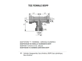 ADAPTÉR TFG-BSPP GAS-SV 60° catalog-item_2398499_img_16730135726926